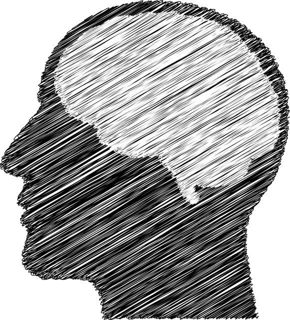 intelligenza emotiva qsfera
