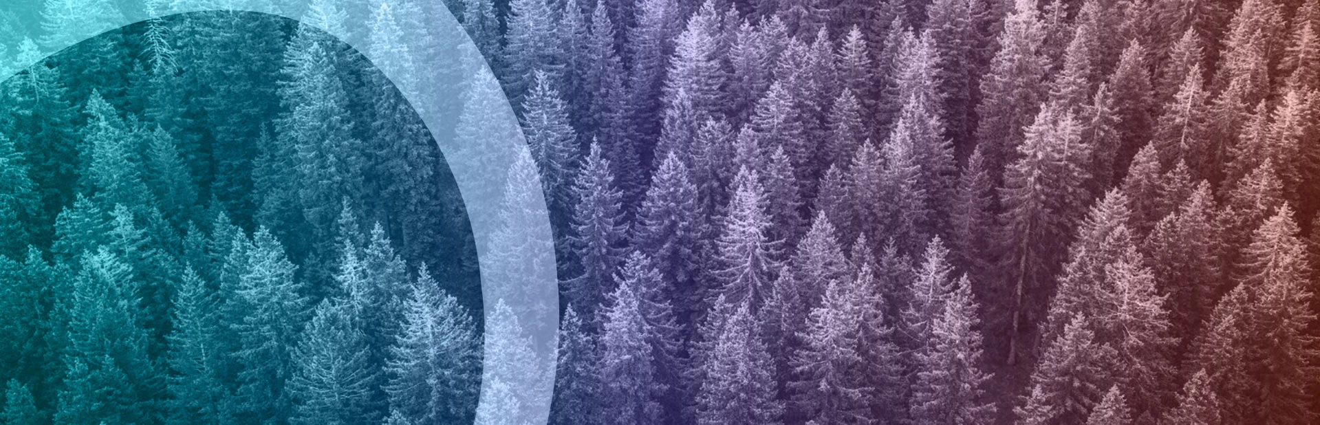 Slider2_sostituire